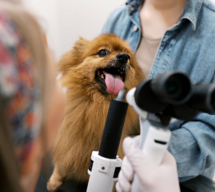 Nenne Hohenthal-Kolinkanta